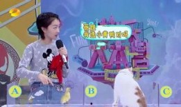 环球百态爆料视频,揭秘世界各地的奇闻异事